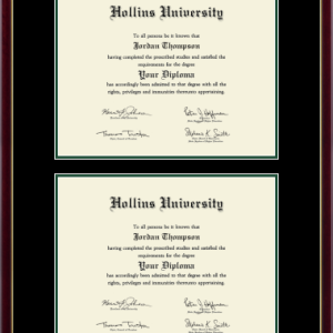 Double Document Frame